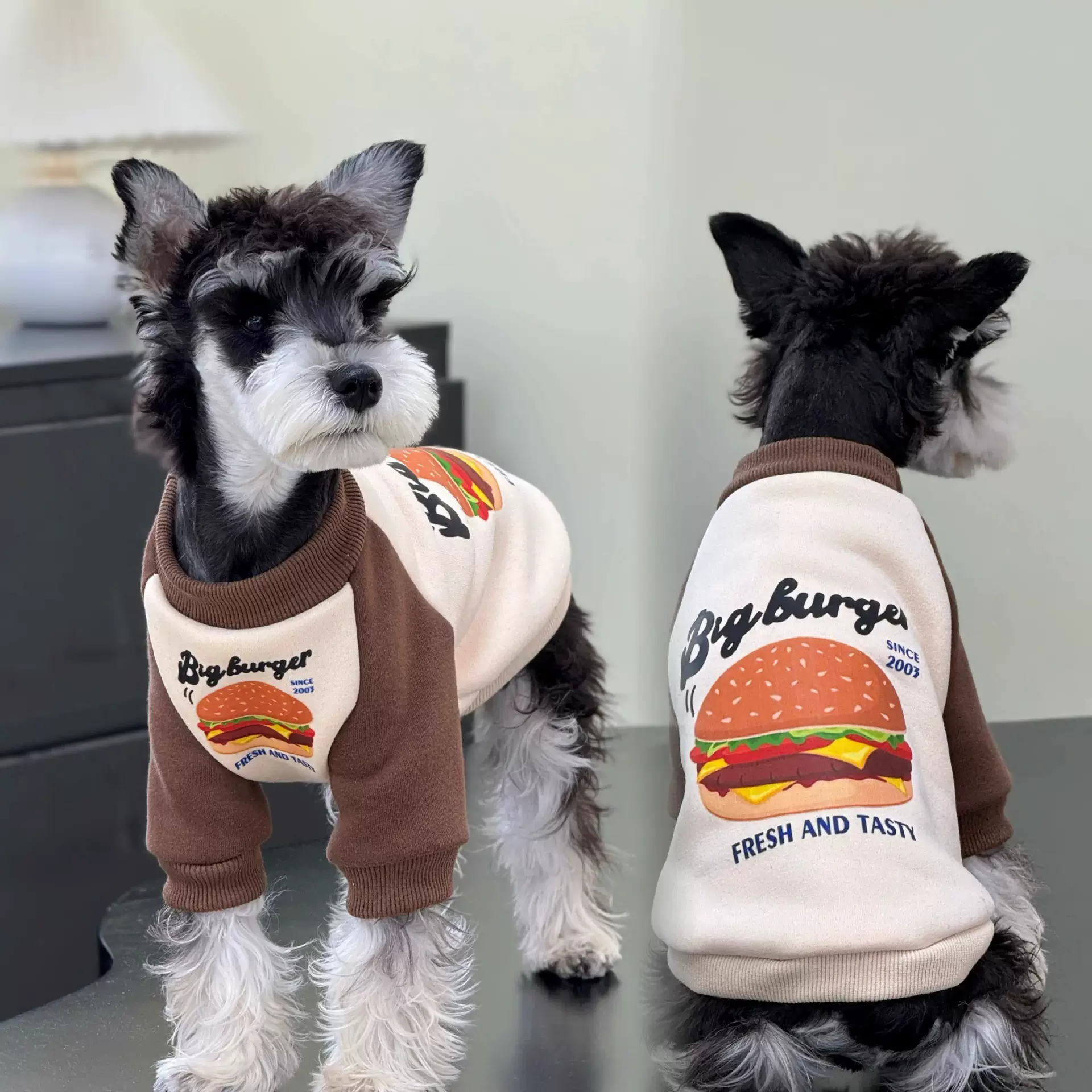 衣服的狗(衣服上的狗狗标志)